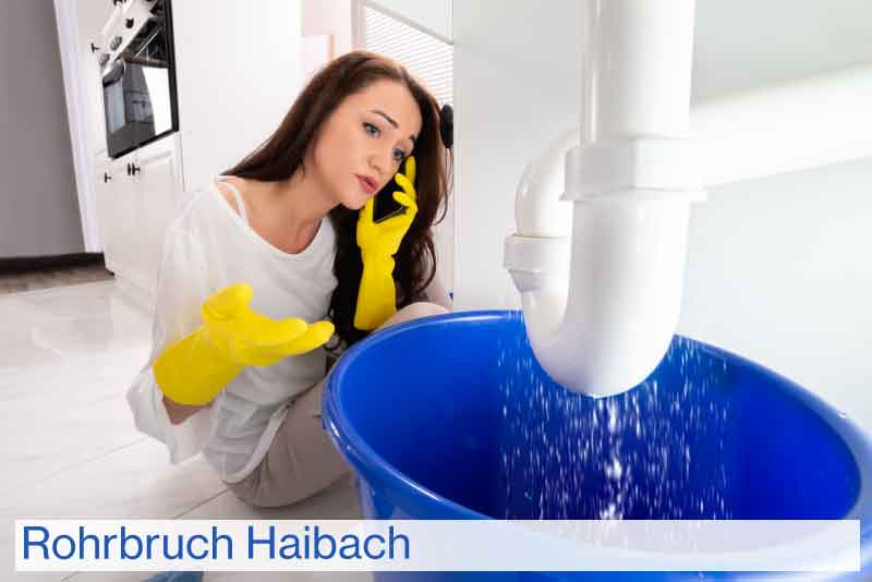 Rohrbruch Haibach
